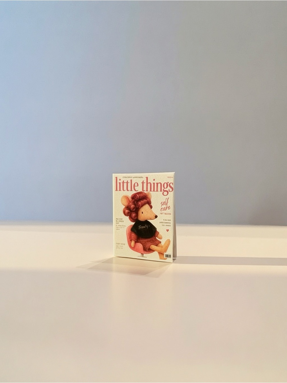 Miniature Hair Salon magazine